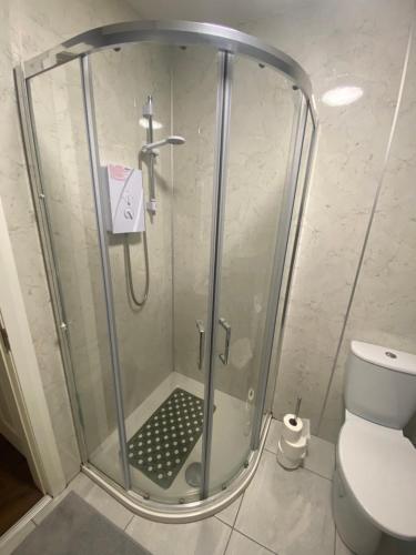 a shower stall in a bathroom with a toilet at Park Avenue Apartment in Newcastle