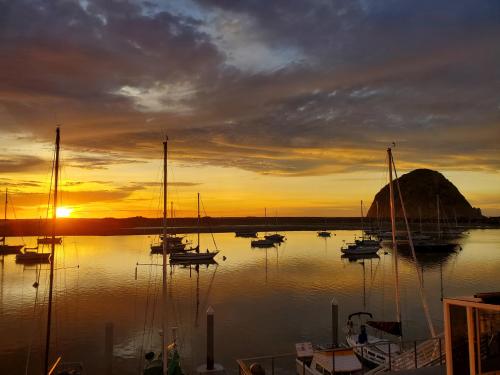 a group of boats in the water at sunset at Gray's Inn & Gallery in Morro Bay