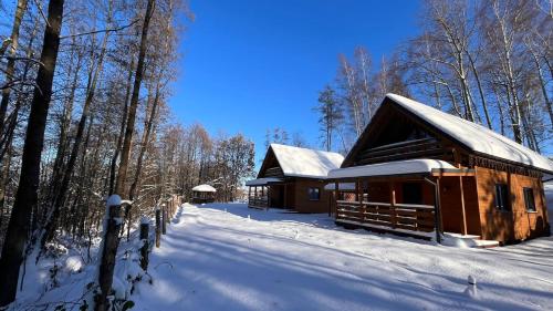 a cabin in the woods with snow on the ground at Las Lorien - wynajem domków letniskowych in Roczyny