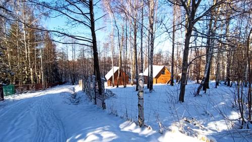 a fence in the snow in front of a cabin at Las Lorien - wynajem domków letniskowych in Roczyny