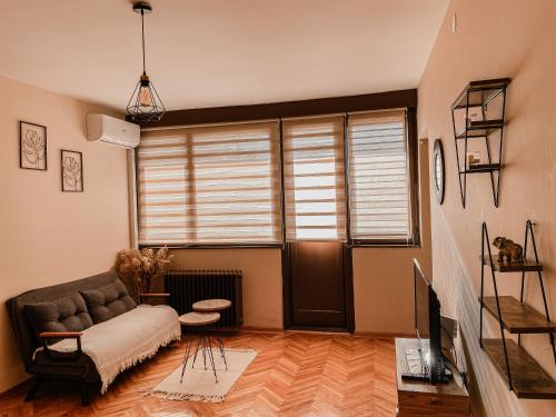 TV a/nebo společenská místnost v ubytování Manila Apartment Kragujevac