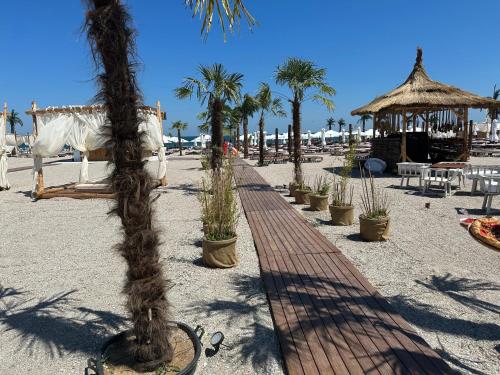 einen Sandstrand mit Palmen und einem Weg in der Unterkunft Mamaia Nord Lotus Residence 17 in Mamaia