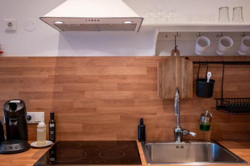 uma cozinha com um lavatório de aço inoxidável e balcões de madeira em Garður Stay Inn & Secret Lagoon em Fludir