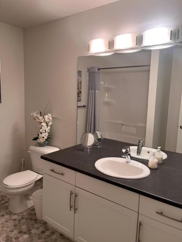 a bathroom with a sink and a toilet and a mirror at Cozy Haven in Winnipeg