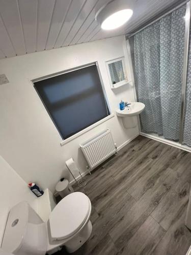 a bathroom with a toilet and a sink at Haven - Beautiful 3 Bedroom house in Ballynahinch