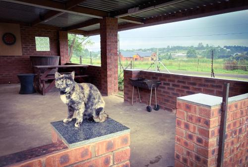 a cat sitting on top of a brick wall at The Blow-Inn Farmer, Sunrise Cottage in Howick