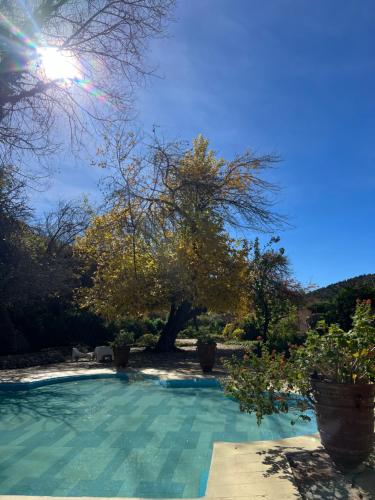 a swimming pool in a yard with trees in the background at Auberge des Cascades Imouzzer - Paradise Valley in Imouzzer des Ida Ou Tanane