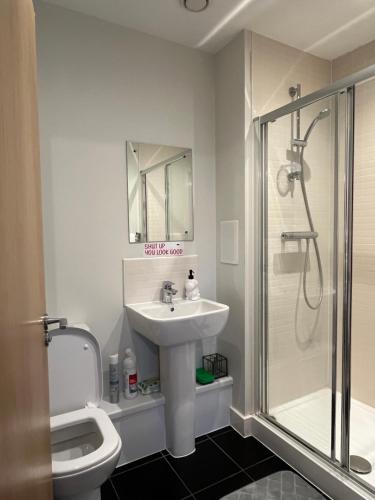 a bathroom with a sink and a toilet and a shower at Peaceful shared flat 30mins Central London in Colindale