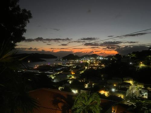 a view of a city at night with lights at The Green Iguana Hotel in Charlotte Amalie