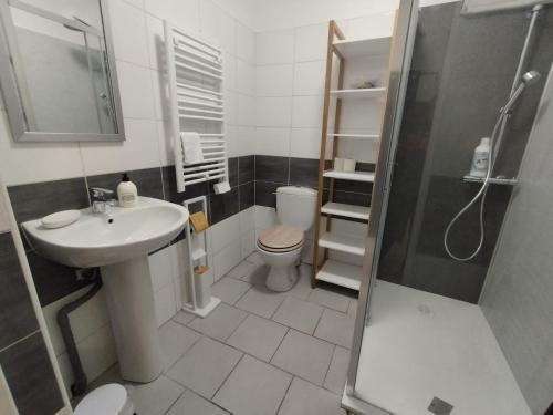 a bathroom with a sink and a toilet and a shower at Le Refuge des Voyageurs in Conflans-sur-Seine