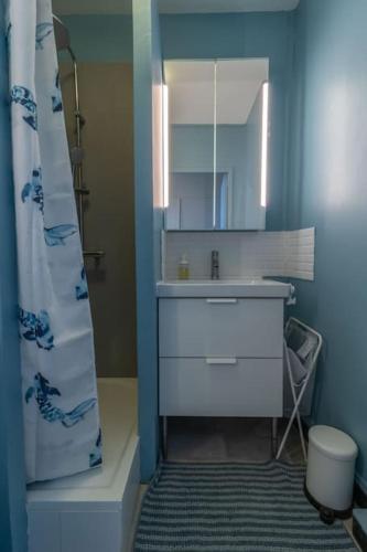 une salle de bain avec un lavabo et un miroir dans l'établissement Renovated 2-Bed Apartment 2 min from Lyon, à Oullins
