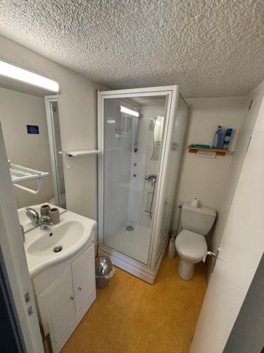 une salle de bain avec une douche, un lavabo et des toilettes dans l'établissement Duplex rénové dans résidence privé proche de toutes commodités place de parking inclu, à La Bourboule