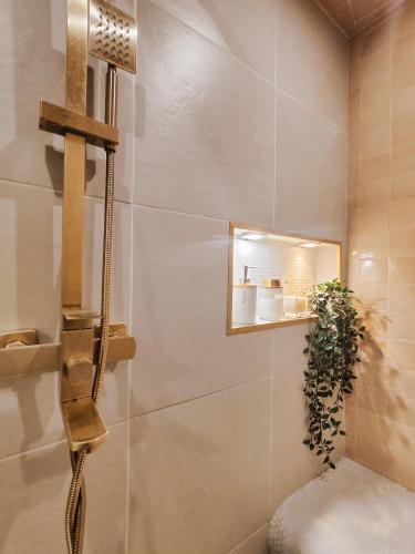 La salle de bains est pourvue d'une douche avec un miroir et une plante. dans l'établissement Beautiful apartments & Loft in Beziers center, à Béziers