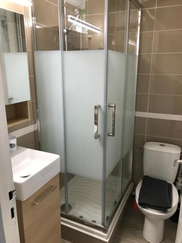 ラカノーにあるAgréable maison entre lac et océan à Lacanauのシャワー、トイレ、洗面台付きのバスルーム