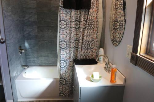 bagno con lavandino e doccia di Small House, 2 queen bedrooms, 1 bath, on route 33 a Nelsonville