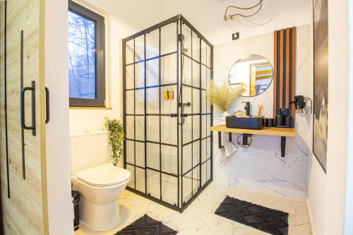 La salle de bains est pourvue de toilettes et d'un miroir. dans l'établissement Doza de Verde Chalet Bran, à Sohodol