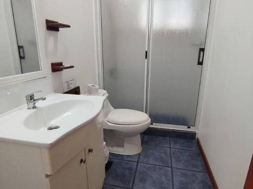 y baño con lavabo, aseo y ducha. en Cabañas Kernayel en Pucón