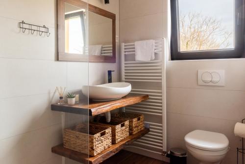 ein Bad mit einem Waschbecken und einem WC in der Unterkunft Šumski raj in Desmerice