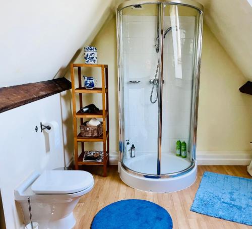 La salle de bains est pourvue d'une douche, de toilettes et d'un tapis. dans l'établissement Guest House gem in Wickhamford, near Broadway, à Badsey