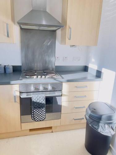 Kuchyň nebo kuchyňský kout v ubytování Starview Apartment-Vitoria