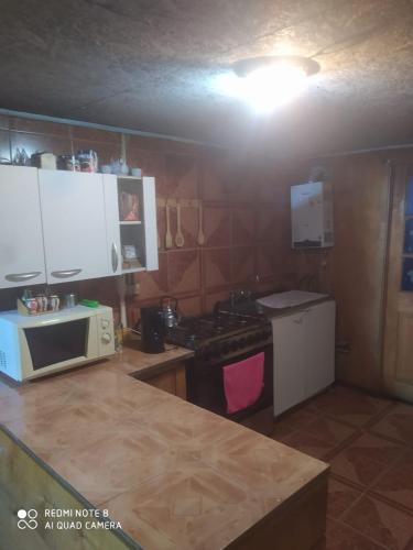 a kitchen with a microwave and a stove in it at Hostal norteña in Villa O'Higgins