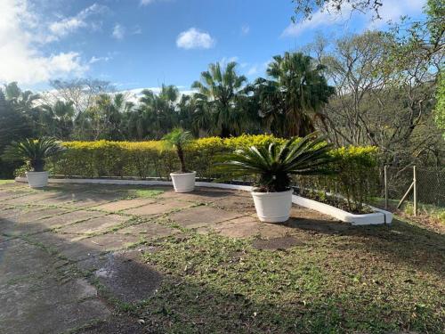 a group of potted plants sitting in a yard at Sitio dos Sabias in Ibiúna