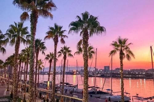 eine Gruppe von Palmen in einem Yachthafen bei Sonnenuntergang in der Unterkunft Málaga-Centro in Málaga