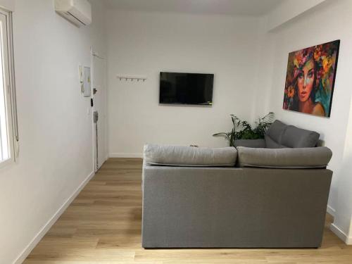 ein Wohnzimmer mit einem Sofa und einem Flachbild-TV in der Unterkunft Málaga-Centro in Málaga