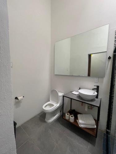 a bathroom with a toilet and a sink and a mirror at Quinta La Perla in Guadalajara