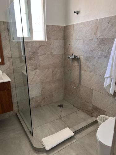 a bathroom with a shower with a glass door at EMY HOUSE in La Laguna