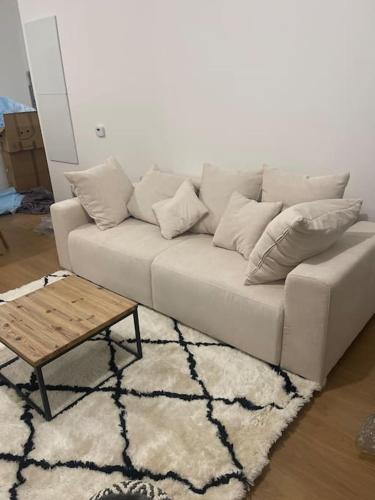 un salon avec un canapé et une table basse dans l'établissement Charmant appartement avec extérieur et parking, à Champigny-sur-Marne
