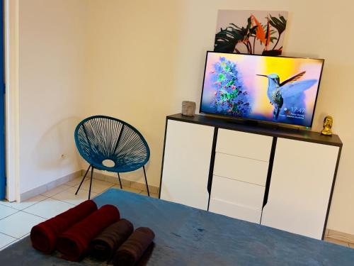 TV a/nebo společenská místnost v ubytování Mabouya cosy vue mer, jacuzzi, jardin