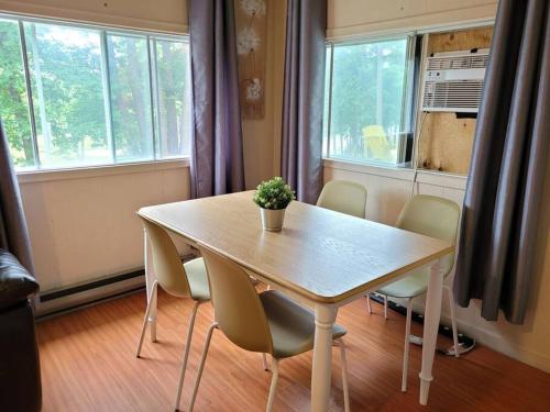 una mesa de comedor con sillas y una maceta. en Birch Cabin: Lakefront Hideaway Resort - 3 bedroom, en Kawartha Lakes