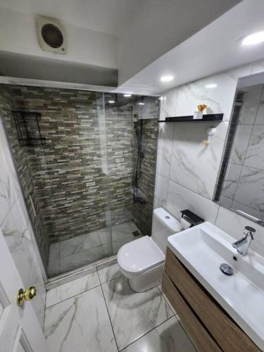 a bathroom with a shower and a toilet and a sink at Departamento Céntrico y Moderno in Santiago