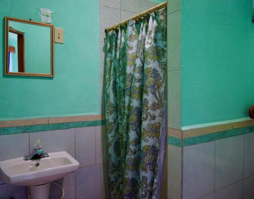 ein Bad mit einem Waschbecken und einem Duschvorhang in der Unterkunft Hilltop Horizon Guesthouse in San Ignacio
