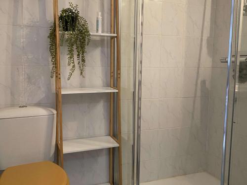 une douche avec toilettes et cabine de douche en verre dans l'établissement Studio Confort en Face des Thermes - Loggia, Clim, Parking - Balaruc-les-Bains - FR-1-553-243, à Balaruc-les-Bains