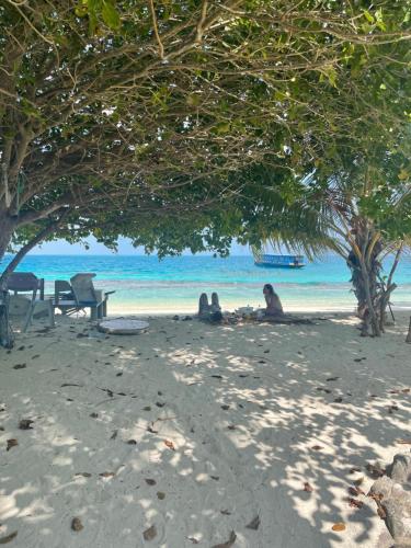 two people sitting on the beach under a tree at Mandhoo Inn in Mandhoo