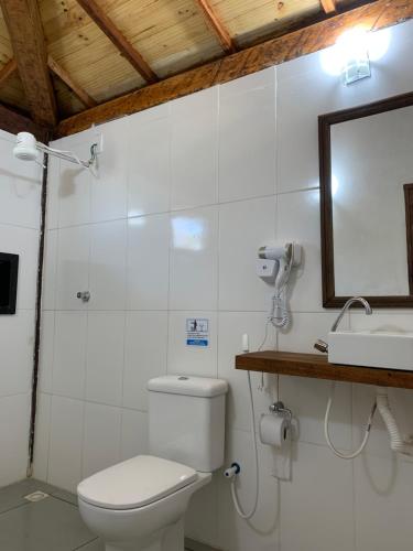 a bathroom with a toilet and a mirror and a sink at Loft Teto Muriquis in Nova Lima