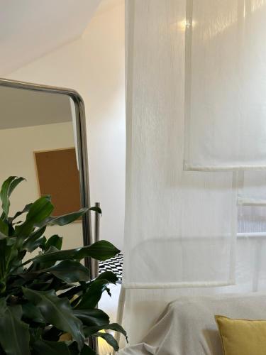 ein Spiegel und eine Pflanze vor einem Fenster in der Unterkunft Shanghai Hills & CoZy Polar B&B in Shanghai