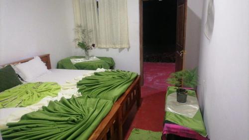 Habitación con 2 camas y mantas verdes. en New Gama Guest en Polonnaruwa