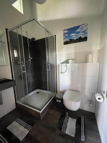uma casa de banho com uma cabina de duche em vidro e um WC. em Ecolodge Loft em Oesterdeichstrich
