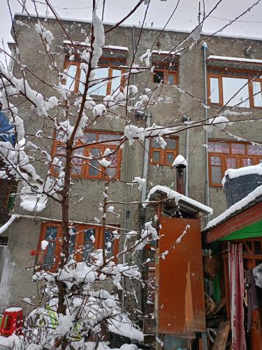 a tree covered in snow in front of a building at Queen Palace guest house in Srinagar