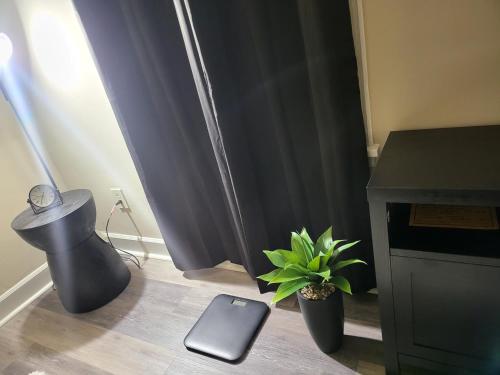 um quarto com mobiliário preto e uma mesa com uma planta em kaysgroove em Alexandria