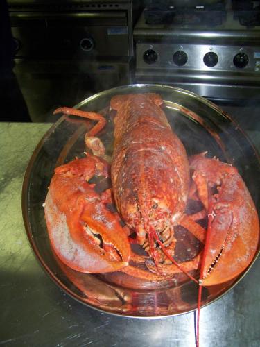 three lobsters on a glass plate on a table at Hotel Achillion in Makrýgialos