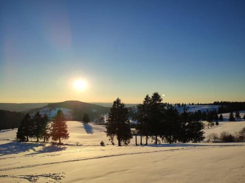 a sun setting over a snow covered field with trees at Gîte la p'tite rivière in Saint-Nabord