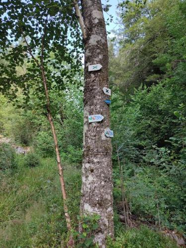 a tree with signs on the side of it at Gîte la p'tite rivière in Saint-Nabord