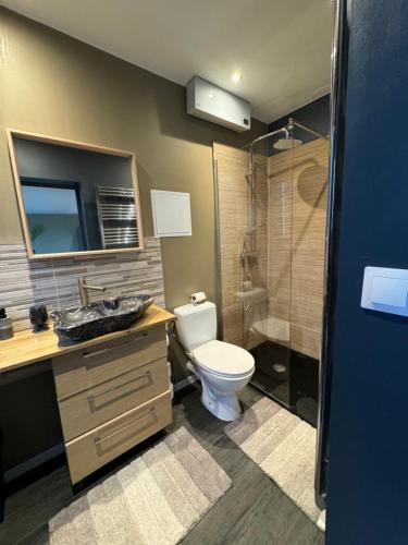 a bathroom with a toilet and a sink and a shower at Logement de Ville 4 chambres proche de Lille in Tourcoing