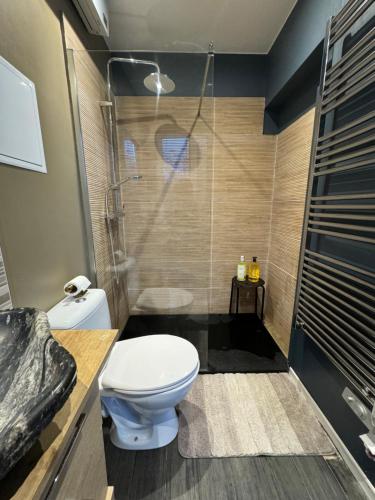 a bathroom with a toilet and a shower at Logement de Ville 4 chambres proche de Lille in Tourcoing