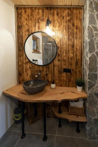 a bathroom with a sink and a mirror on a counter at Leśny Kącik Zelwa in Zelwa
