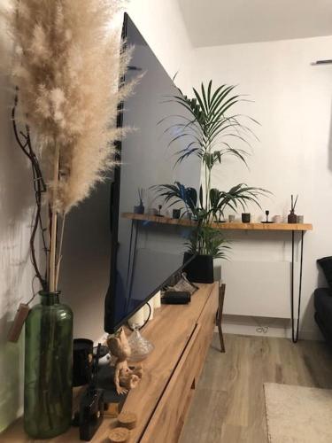 a living room with a tv and some plants at Cocooning little house in Viry-Châtillon